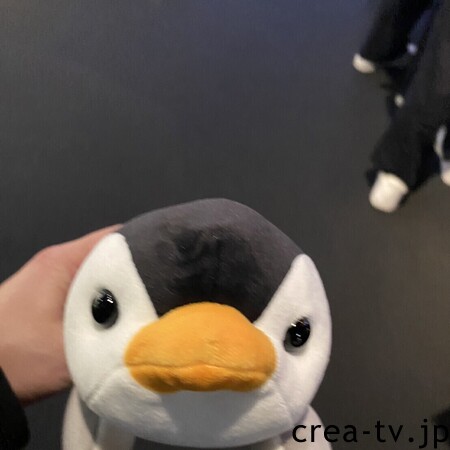 プロフ画像