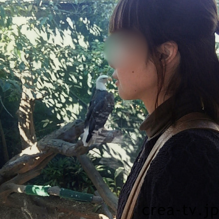 プロフ画像